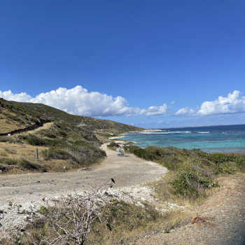 Trail on island hill along shoreline